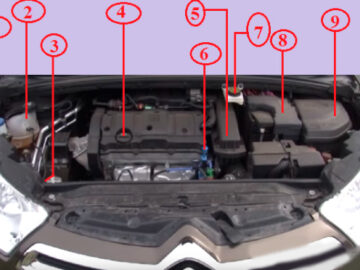 підкапотний простір Citroen C4