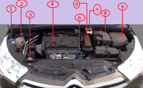 підкапотний простір Citroen C4