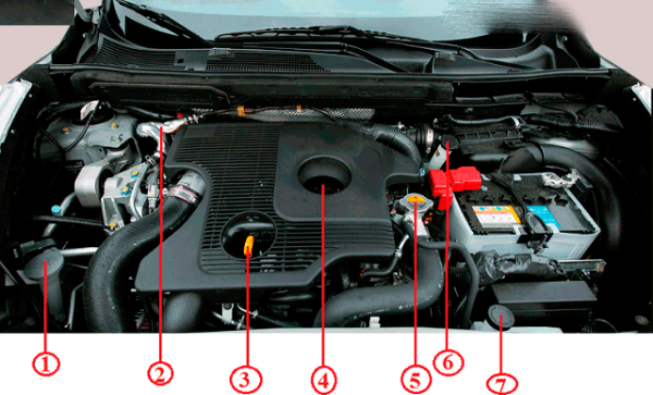 Підкапотний простір Ніссан Жук