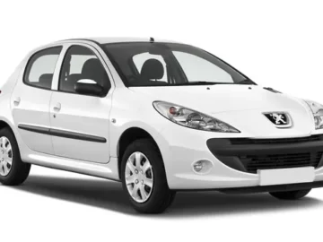 Особливості та хворі місця Peugeot 206